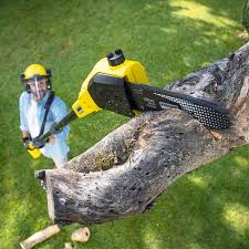 Best Weed Control  in Running Springs, CA