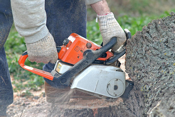 Best Utility Line Clearance  in Running Springs, CA